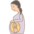 妊婦と胎児