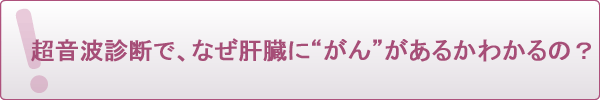 超音波診断で、なぜ肝臓に“がん”があるかわかるの?